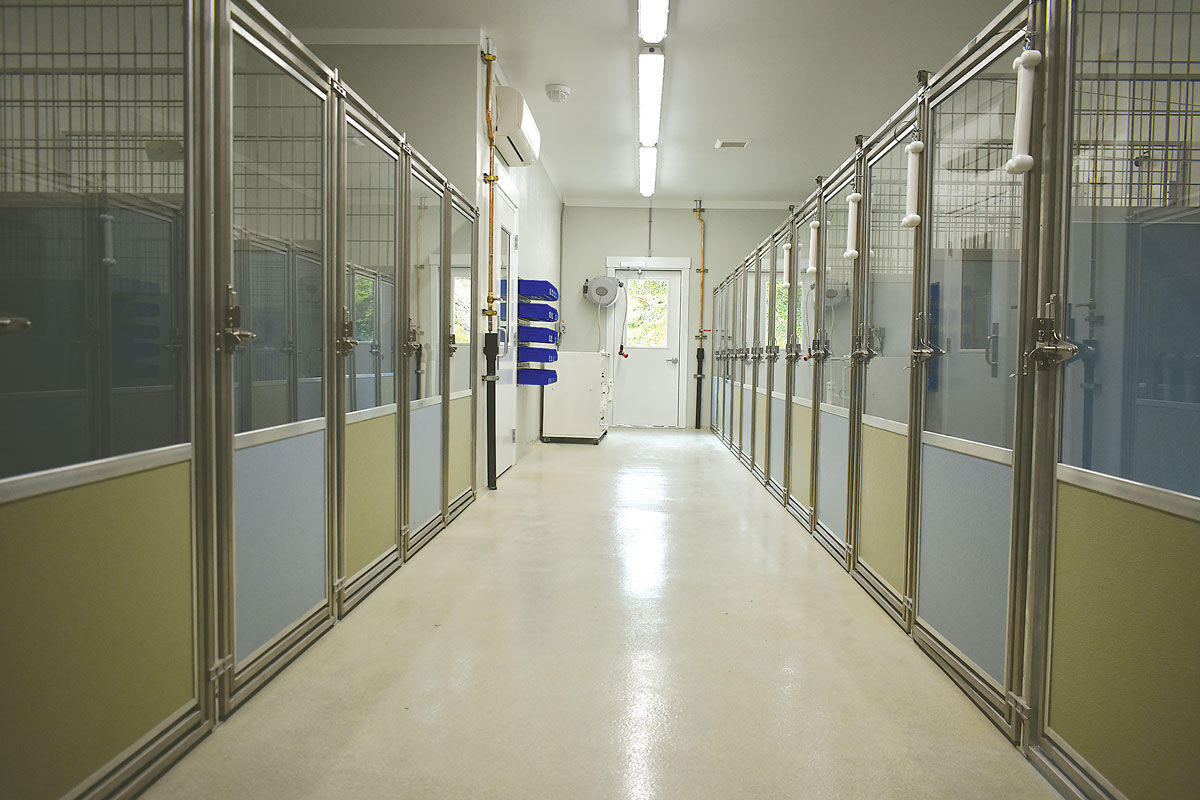 Vetbuilding3